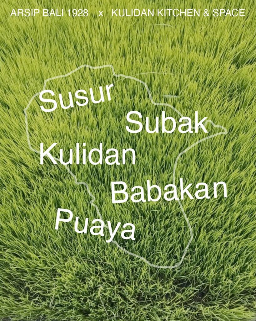 Paras - Cultural Events in Bali - Susur Subak - Kulidan Babakan Puaya